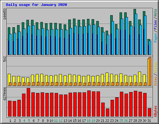 Daily usage for January 2020