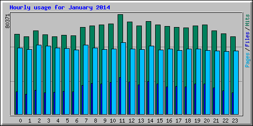 Hourly usage for January 2014