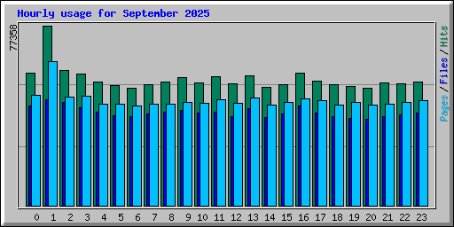 Hourly usage for September 2025