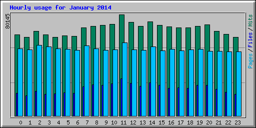 Hourly usage for January 2014