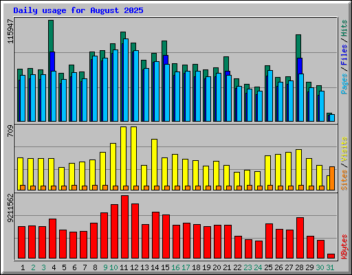 Daily usage for August 2025