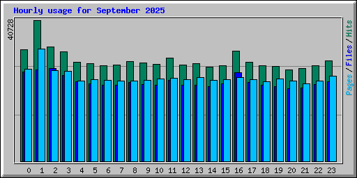 Hourly usage for September 2025